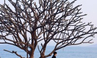 厦门旅游 5 天 4 晚网红避雷打卡游厦门攻略超详细实测机位避开 90% 游客套路不花冤枉钱出片绝美！