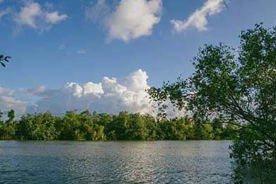 冲上热搜辟谣私生子不足1天何猷君更多黑料就被扒出