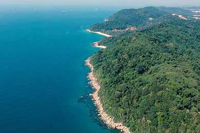 一脱未成名多次拒绝潜规则嫁普通丈夫9年后43岁万茜又火了